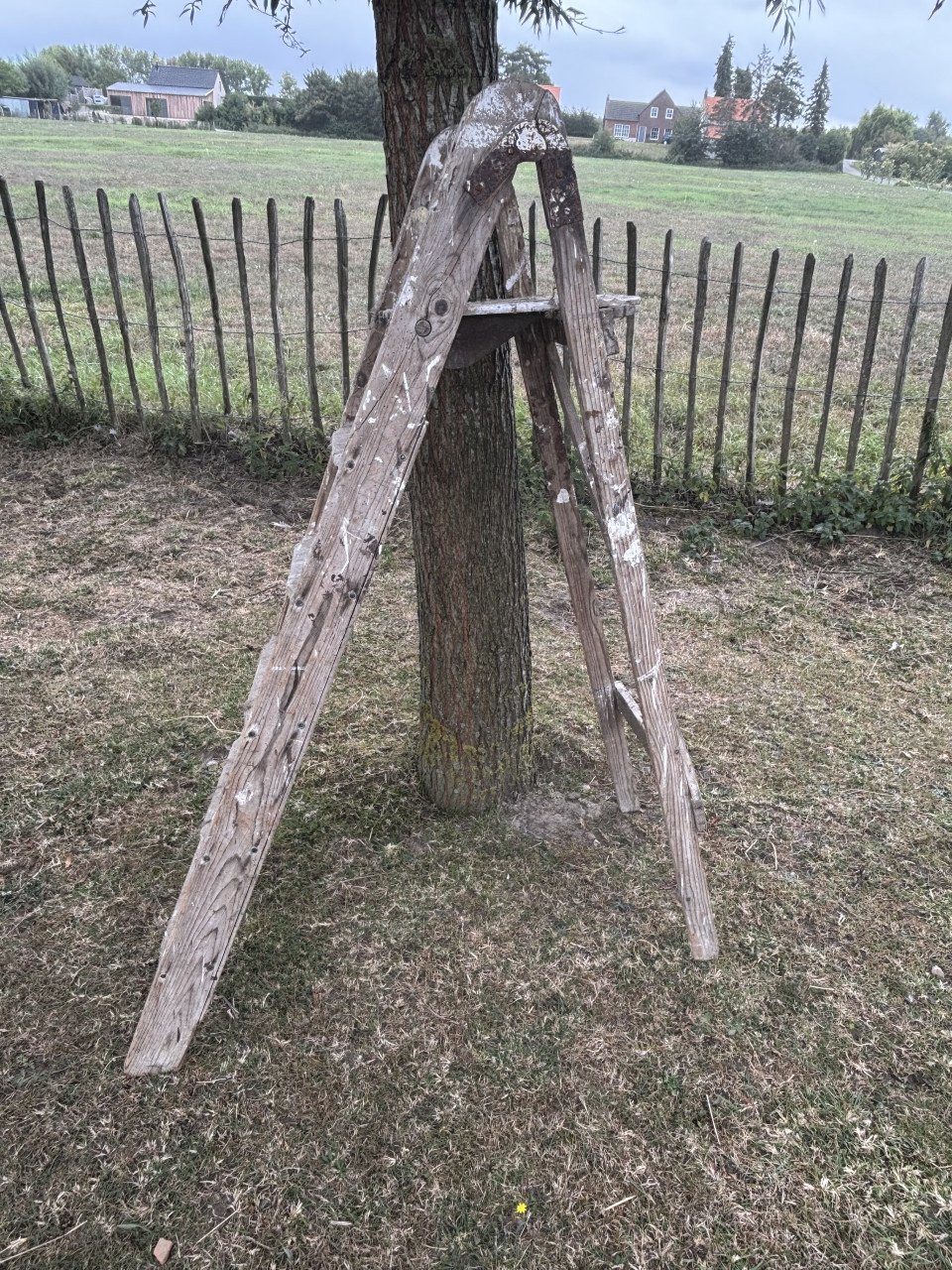 Schildertrappen