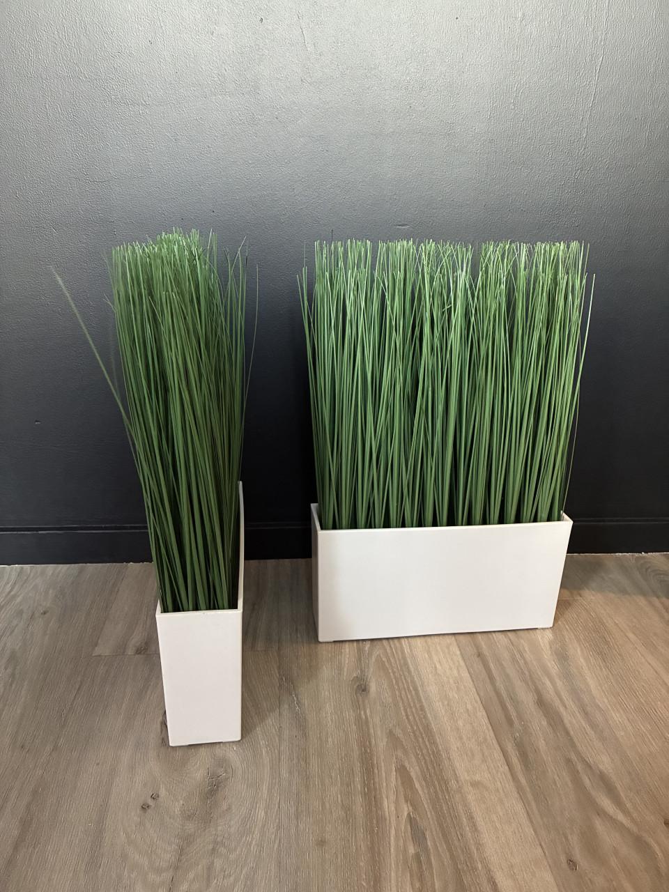 Kunst grassprieten in bak