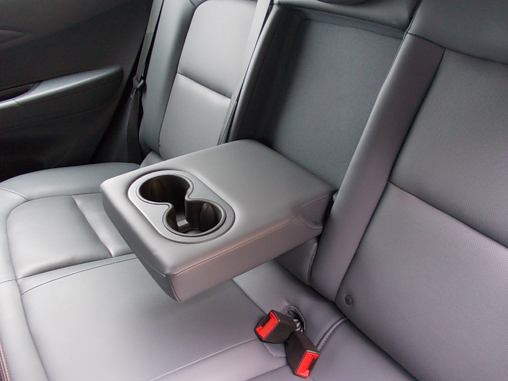 Opel Ampera-e navi, cr.control, leer, stoelverw., stuurverw