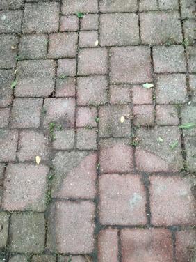 Terrastegels