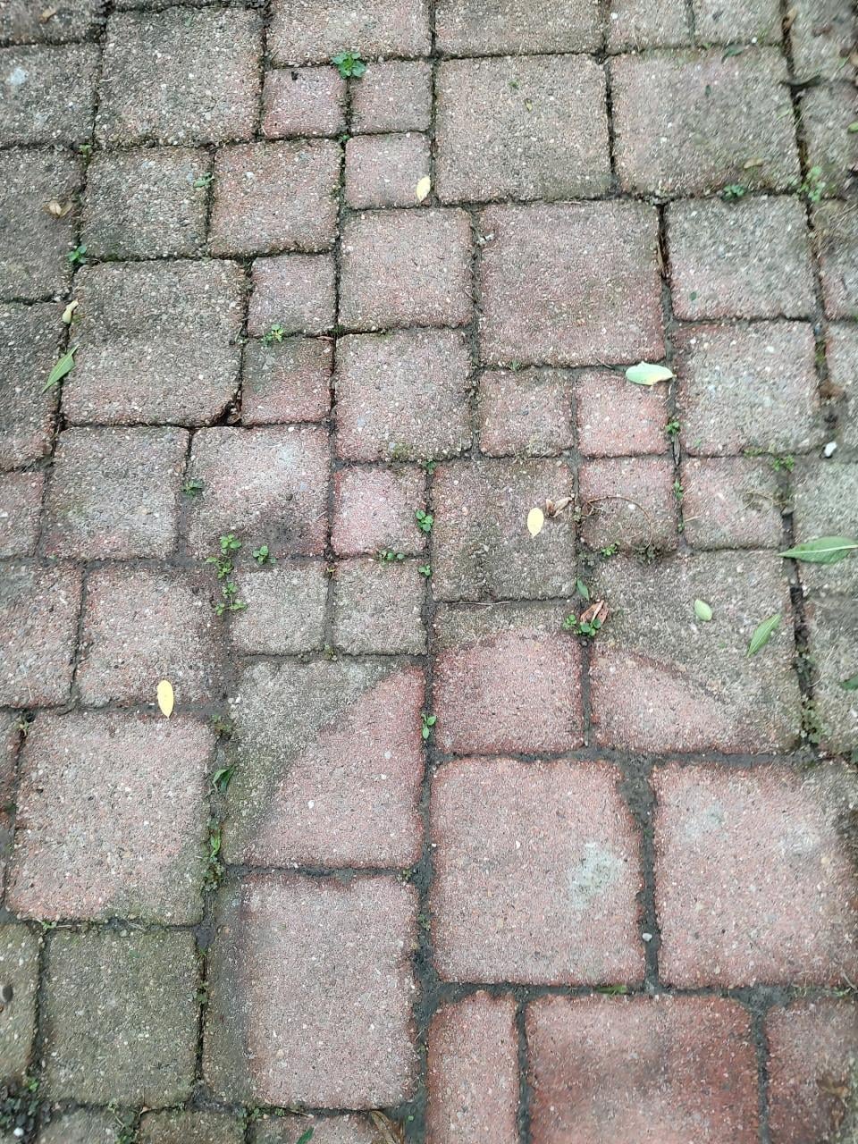 Terrastegels
