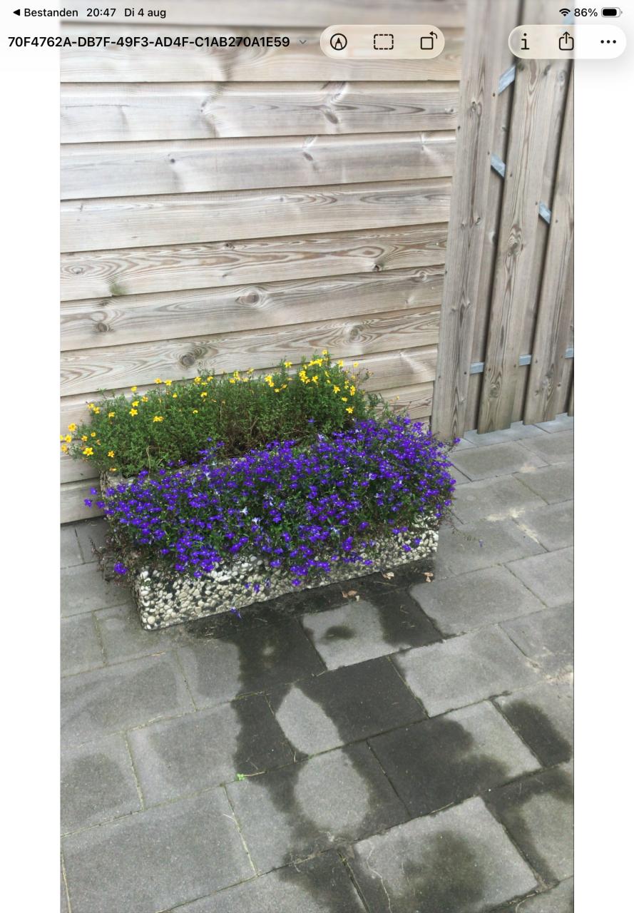 2 plantenbakken kiezelstenen op beton 80cm