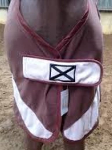 Scapa-Sports set
