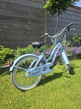 Meisjesfiets 20 inch