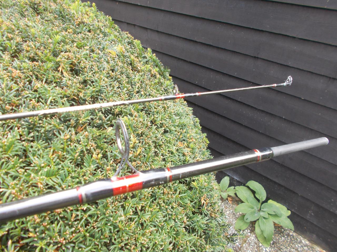 FENWICK SEAHAWK Carbon zeebaars lengte 300 cm w.g. 80-150 gram