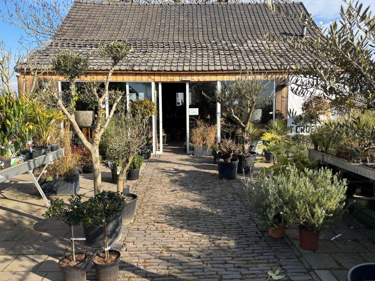 PLANTENKWEKERIJ ‘t GROENE LAND