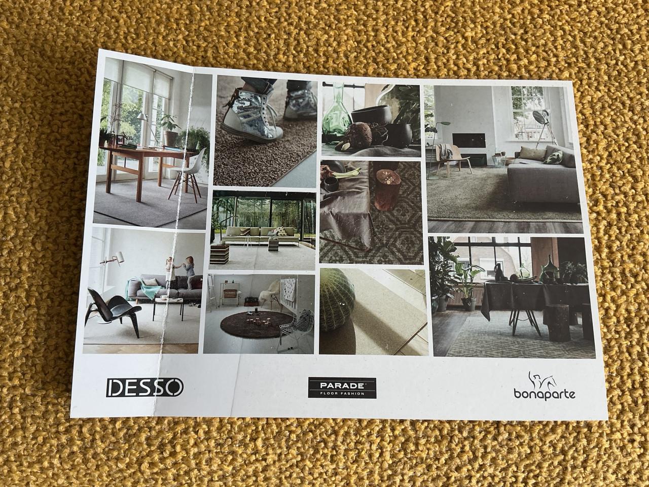 Vloerkleed DESSO