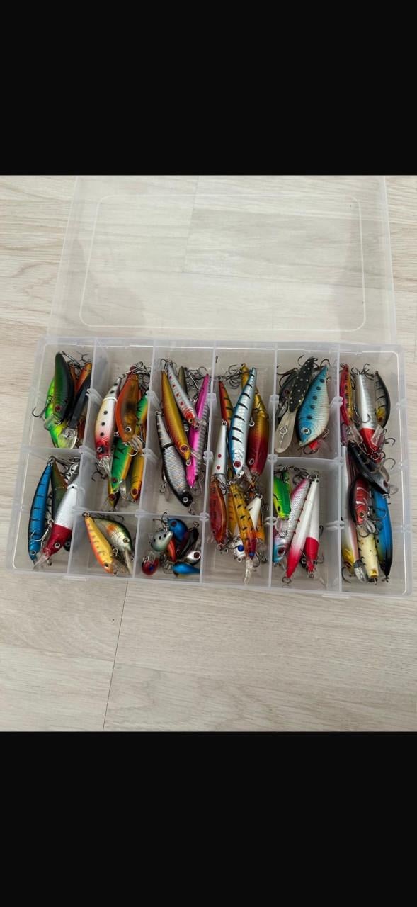 62 stuks kunstaas (hardbaits) - Ideaal voor roofvissen