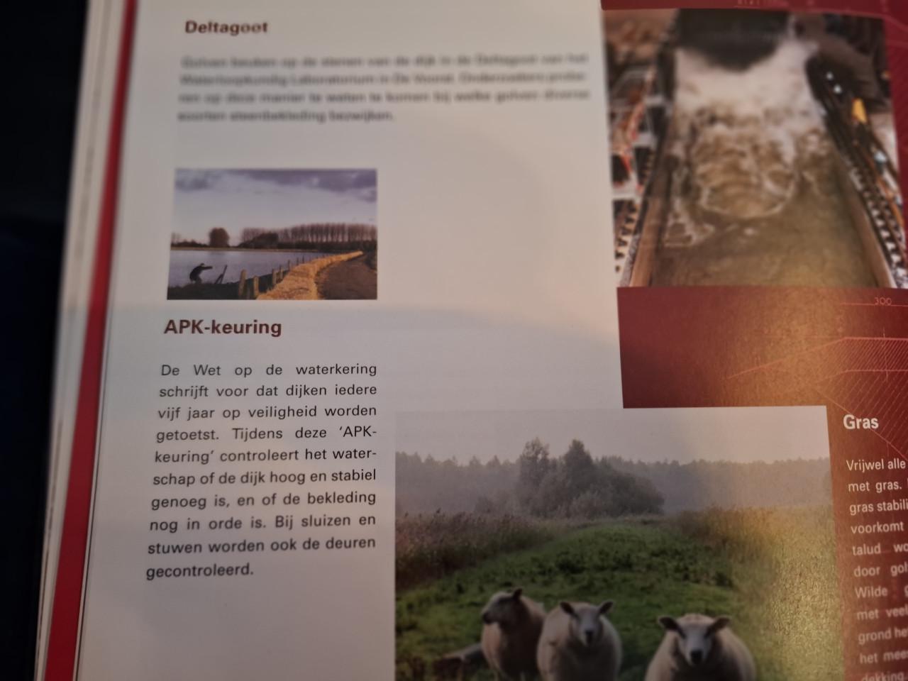 Hoog Water - 50 jaar na de watersnoodramp, door Inez Flameling