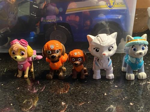 Paw Patrol poppetjes