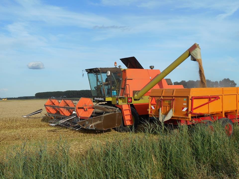 Maaidorser Dronningborg D7500