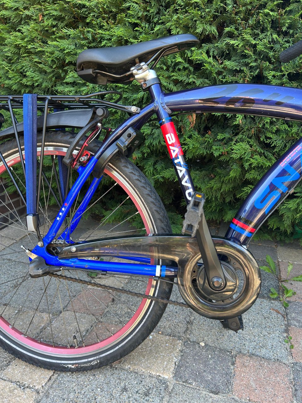 Batavus snake 26inch