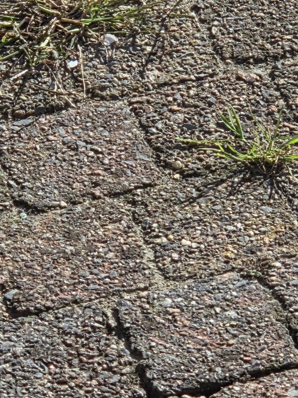 Tuintegels