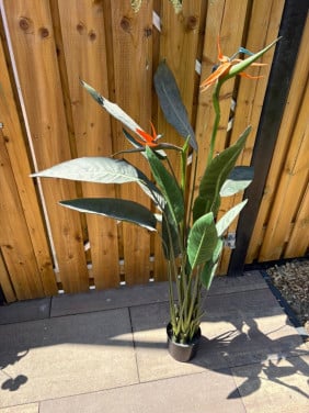 Kunstplant grote strelitzia