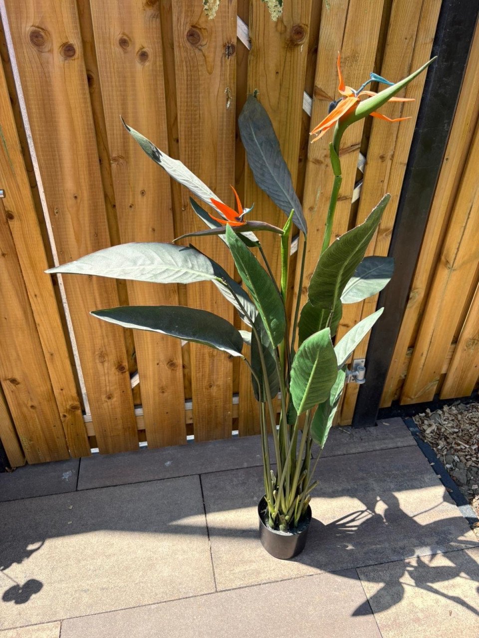 Kunstplant grote strelitzia