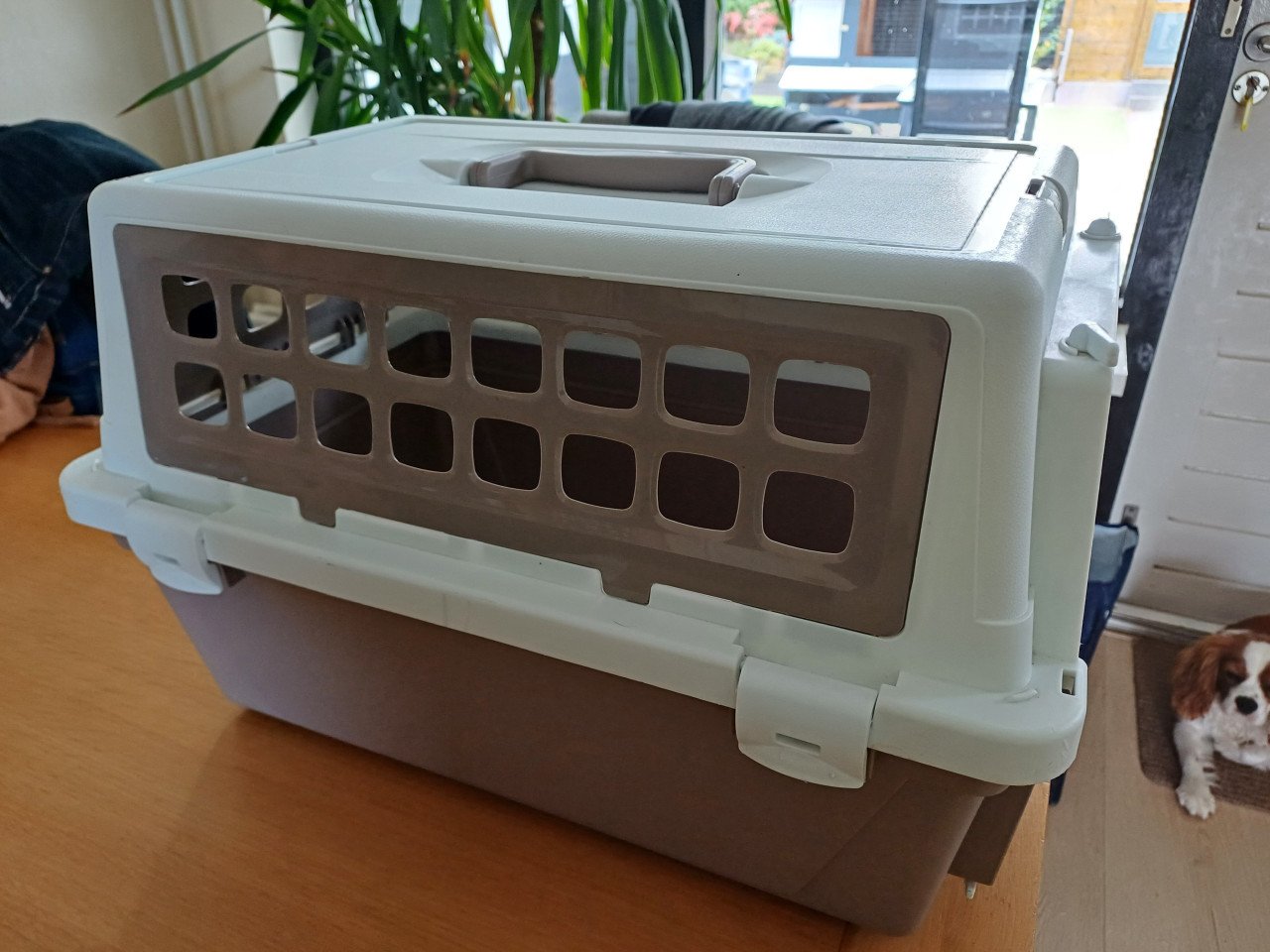 Vervoersbox, reismand zgan