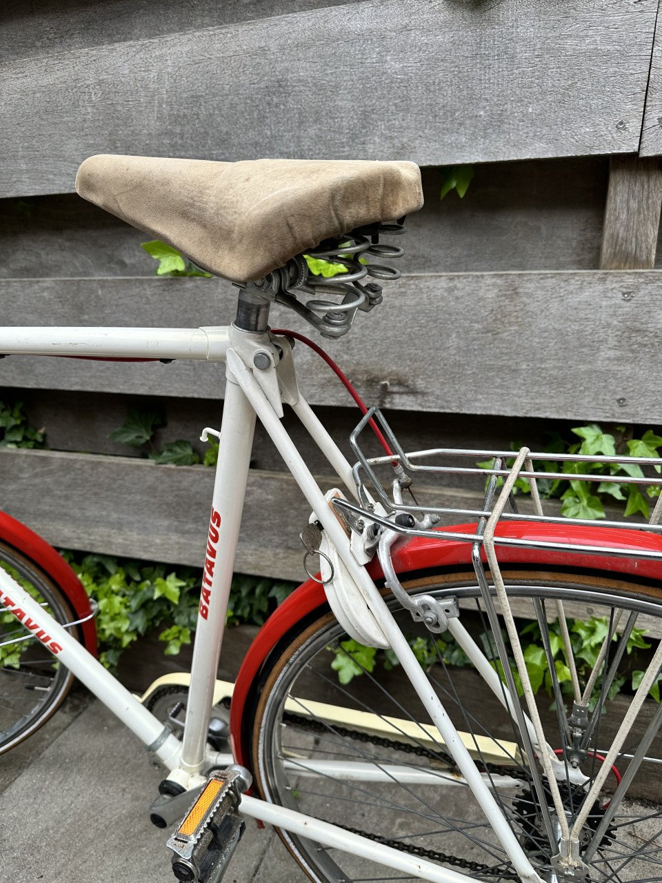 Batavus Wayler