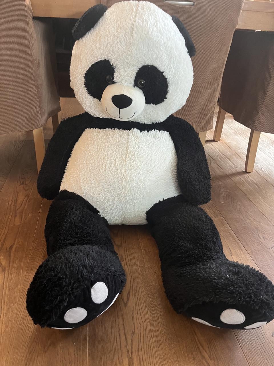 Grote panda beer knuffel
