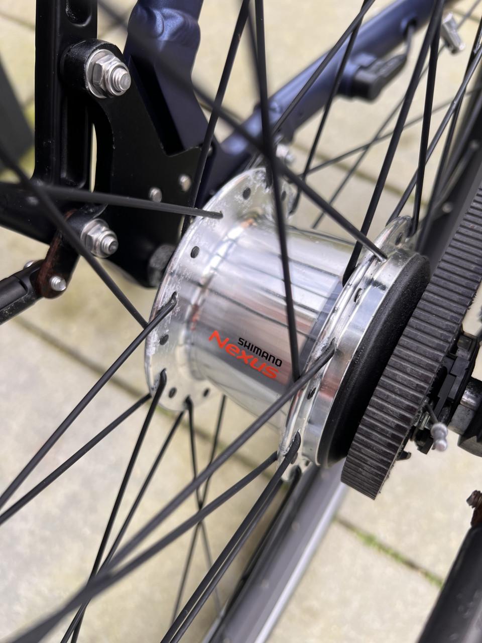 Pegasus Siena E7F Plus Belt