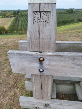 Gevonden