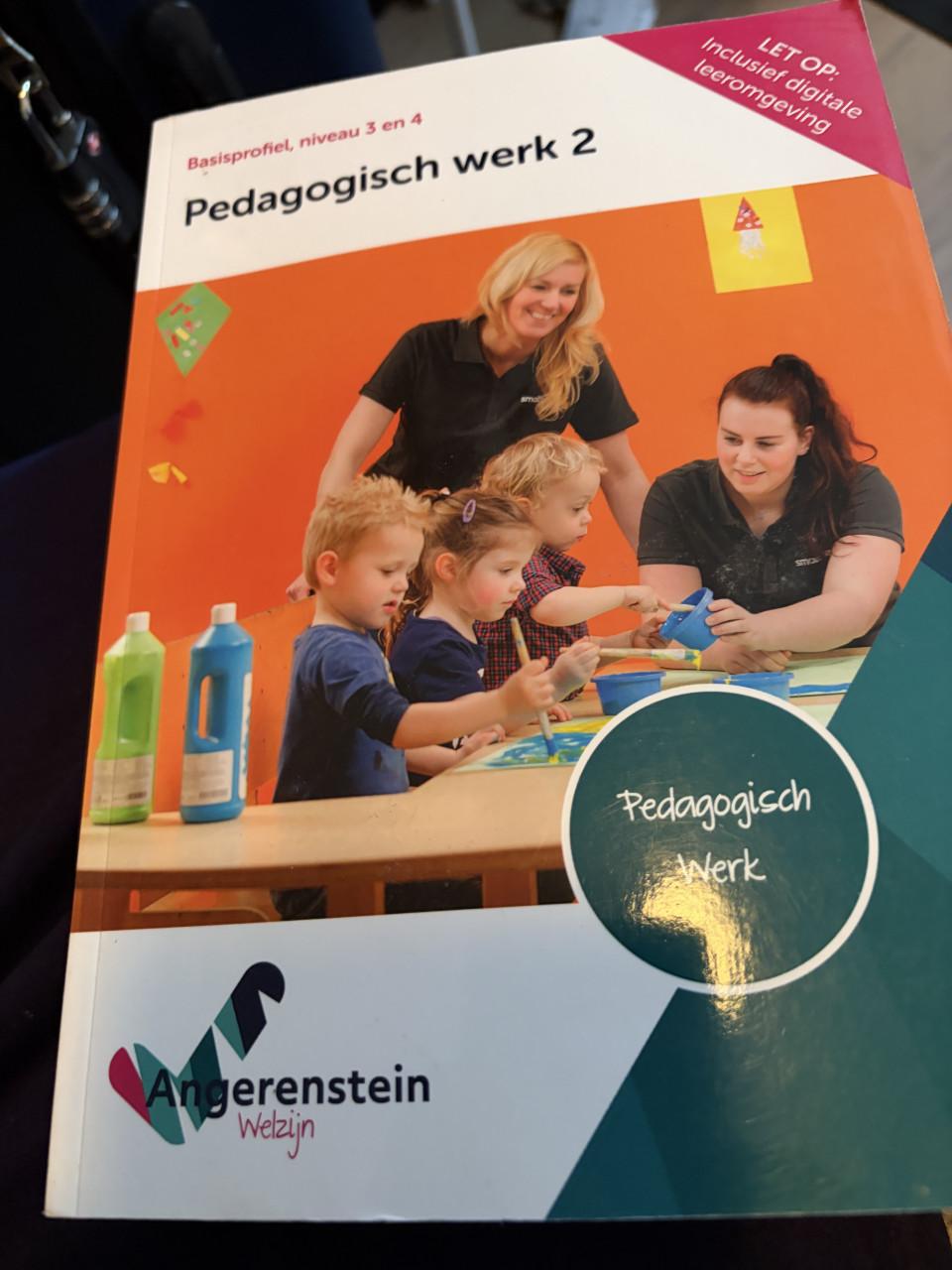 Boek pedagogisch werk 2