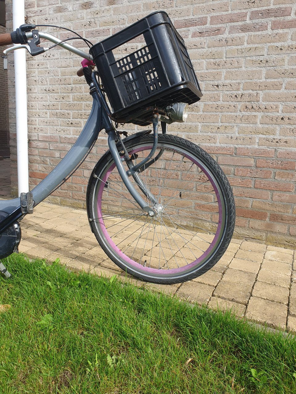 Meisjes fiets