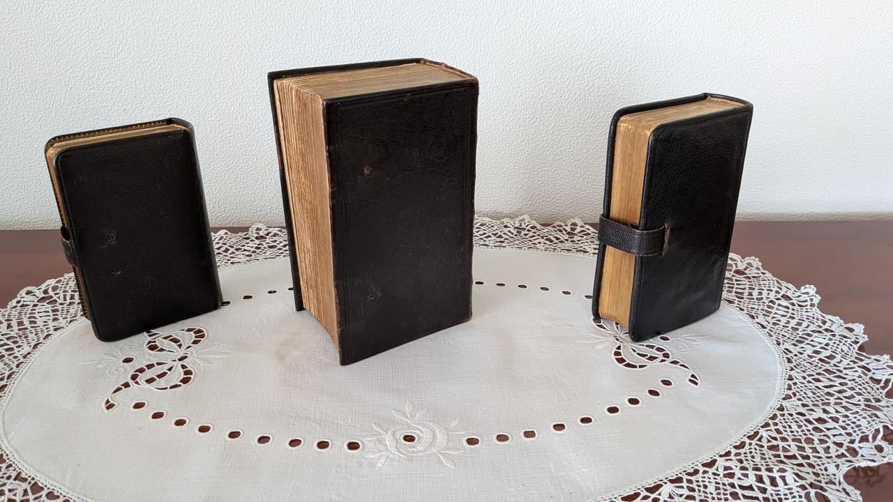 Set van 3 Antieke Bijbels (Statenvertaling) – met Psalmen van Datheen