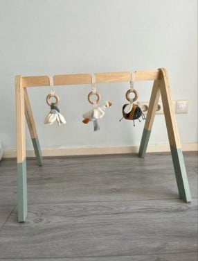 Babygym • Little Dutch