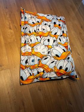 Donald duck zitzak