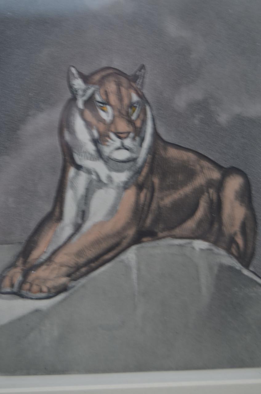 Litho Paul Jouve (1878 - 1973)