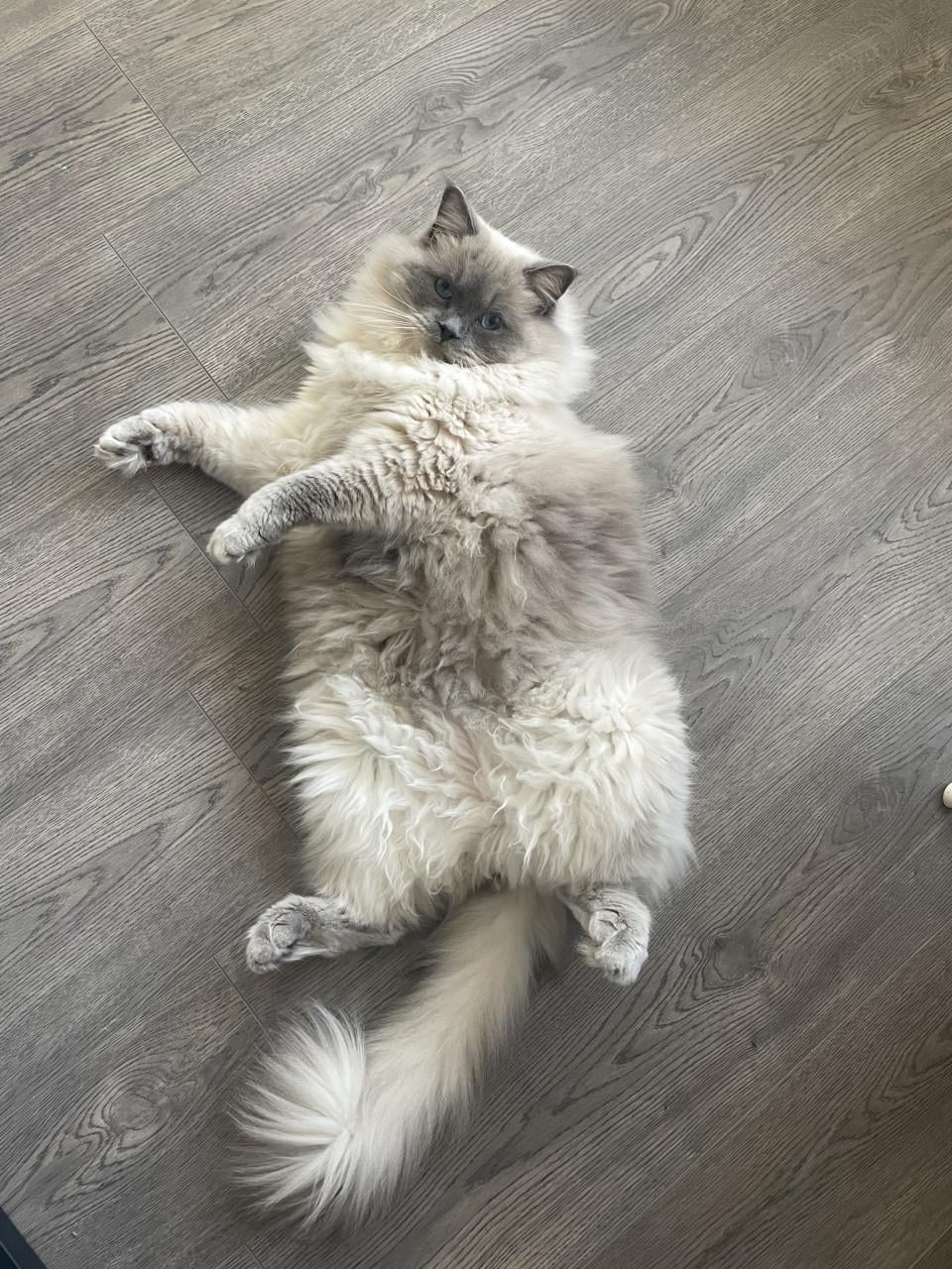 Ted is op zoek naar personeel
