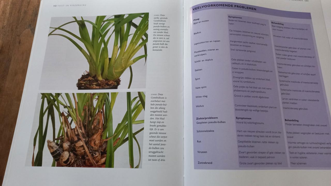 Orchideeën boek