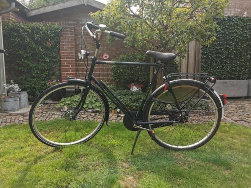 GAZELLE HERENFIETS 61CM