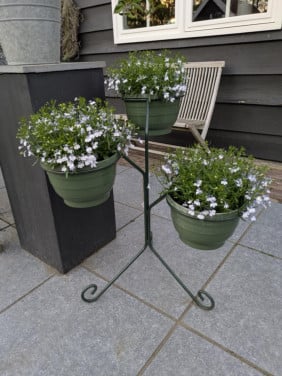 3 delige planten standaard met planten