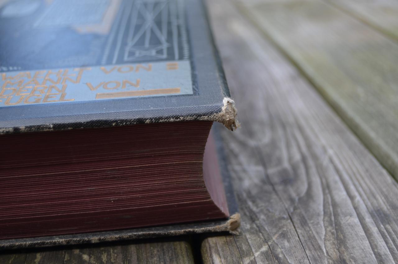 Duitse Volksbijbel Deutsche Volksbibel 1912 mooie ill.