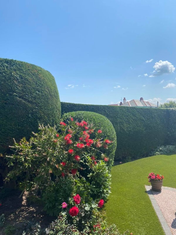 Tuinhulp aangeboden € 20,00