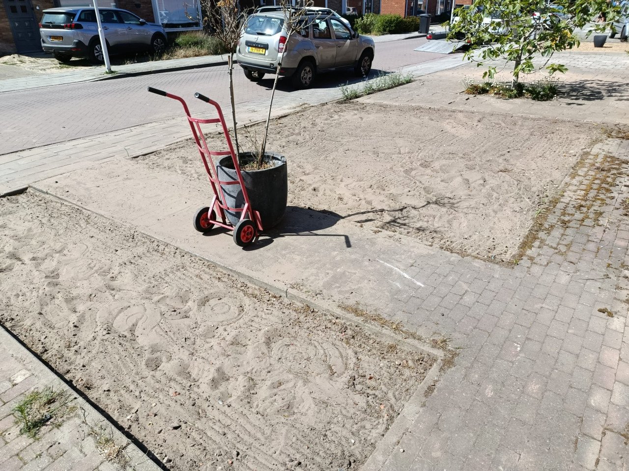 Tuinonderhoud