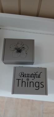 2 leuke taupe houten kistjes met klep