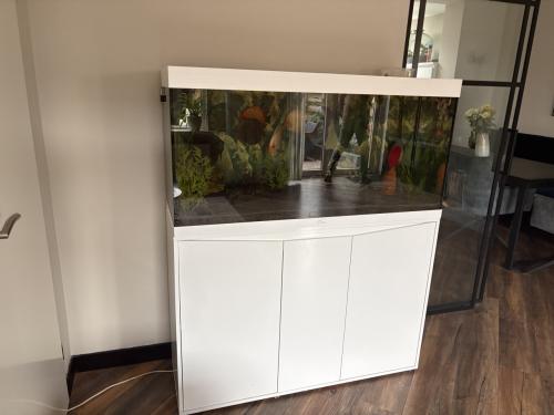 Aquarium te koop