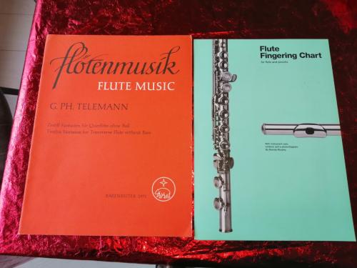 Dwarsfluit voor beginners