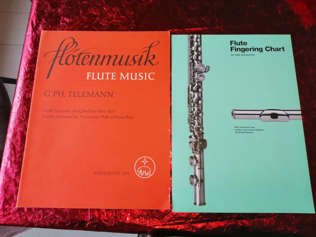 Dwarsfluit voor beginners