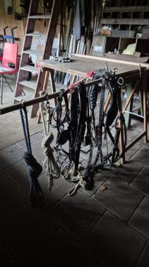 Shetland pony tuig | Liverpool bit