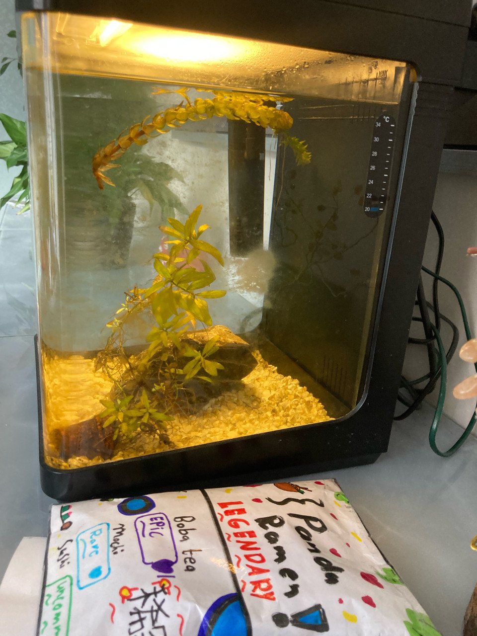 Japans aquarium Nisso