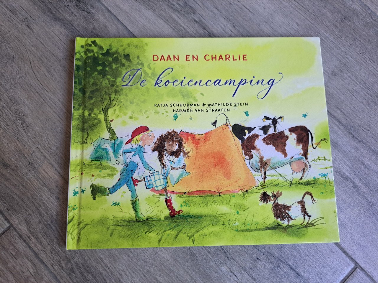 Daan en Charlie de koeiencamping van Katja Schuurman