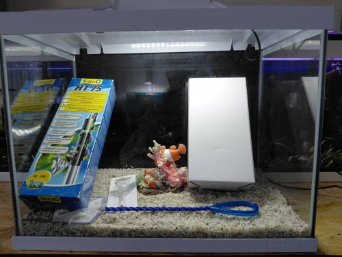 Superfisch start 50 wit