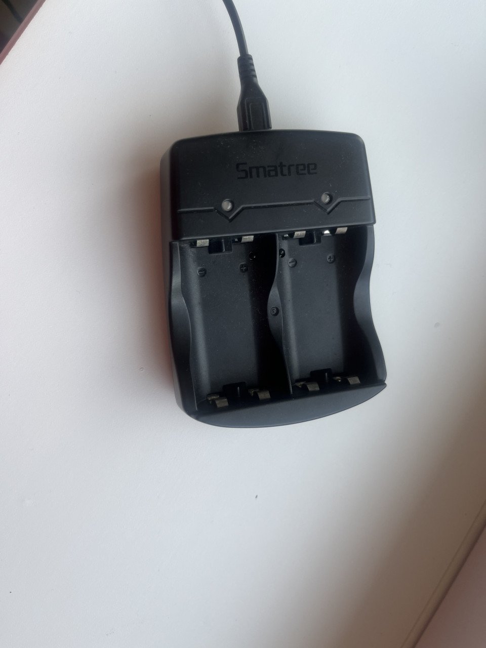 Smatree dual channel charger