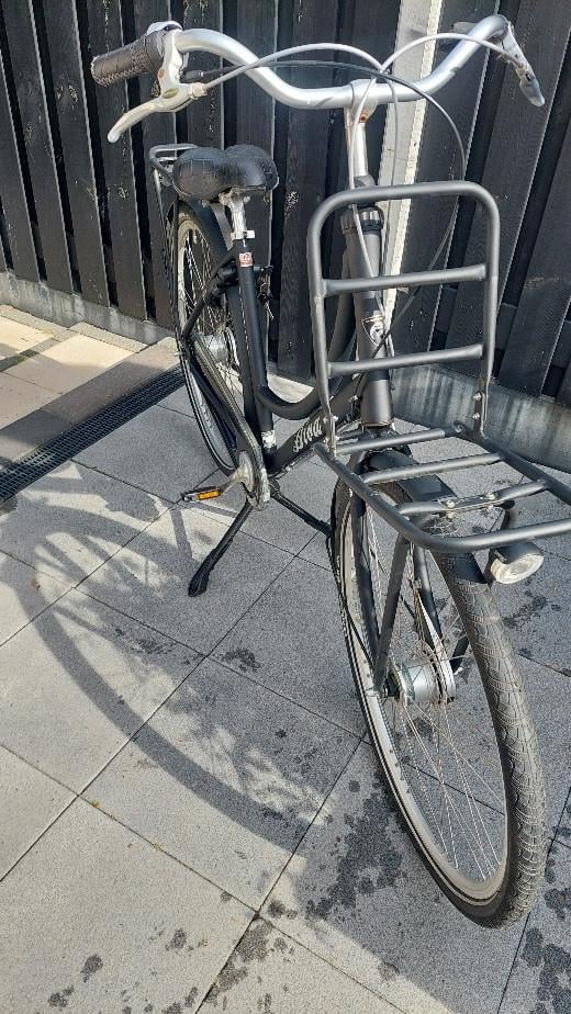 Batavus Diva