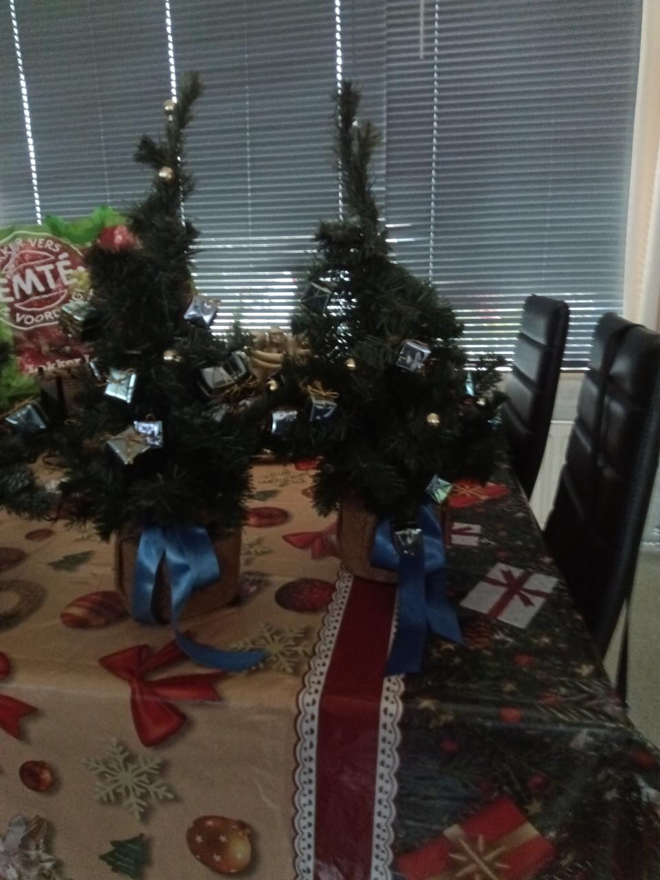 Verschillende kerstbomen