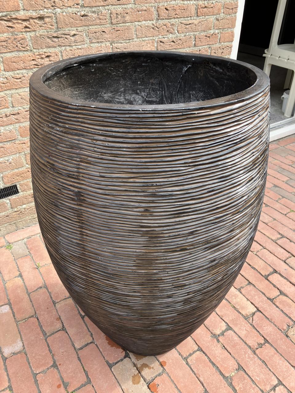 Grote Vaas kamerplant