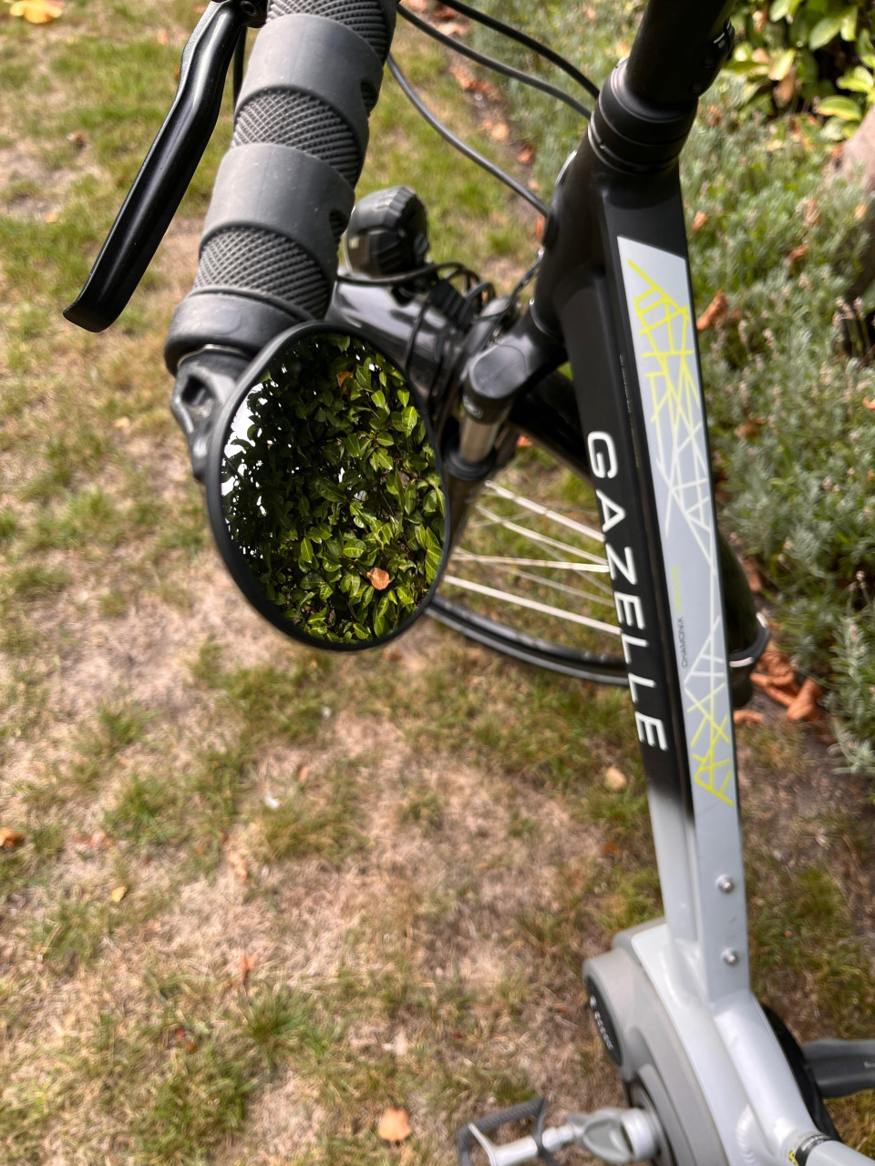 Gazelle Chamonix elektrische damesfiets D49